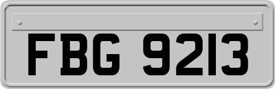FBG9213