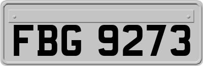 FBG9273
