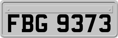 FBG9373