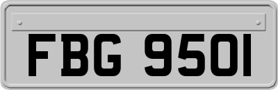 FBG9501