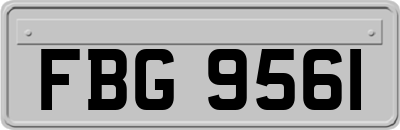 FBG9561