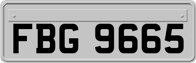 FBG9665