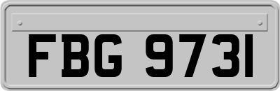 FBG9731