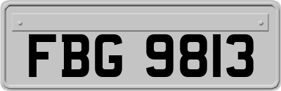 FBG9813