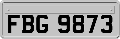 FBG9873