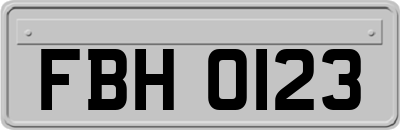 FBH0123