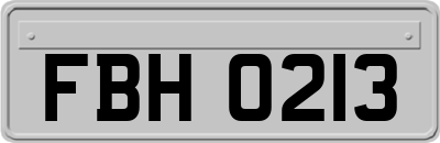 FBH0213