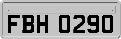 FBH0290