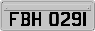 FBH0291