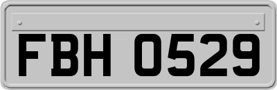 FBH0529