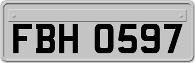FBH0597