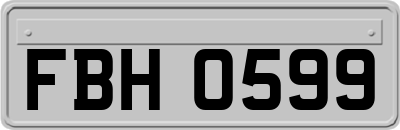 FBH0599