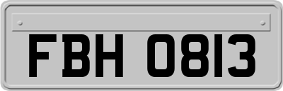 FBH0813