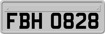 FBH0828