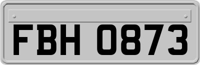 FBH0873