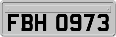FBH0973