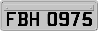 FBH0975