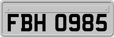 FBH0985