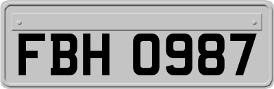 FBH0987