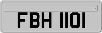 FBH1101