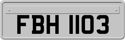 FBH1103