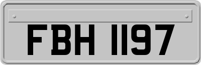 FBH1197