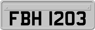 FBH1203