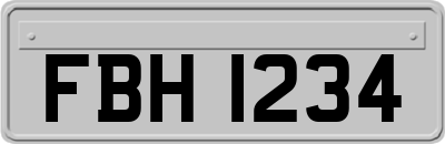 FBH1234