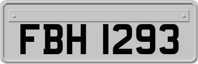 FBH1293