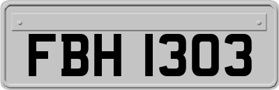 FBH1303