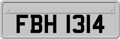 FBH1314