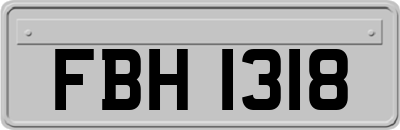 FBH1318