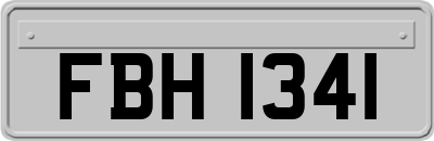 FBH1341