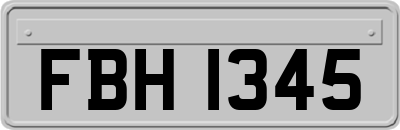 FBH1345