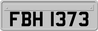 FBH1373