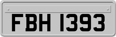 FBH1393
