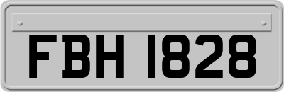FBH1828