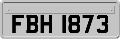 FBH1873