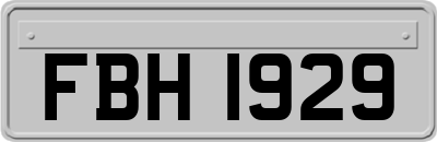 FBH1929