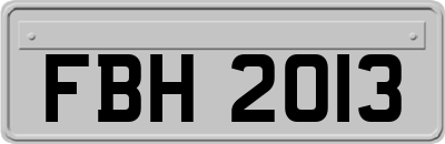 FBH2013