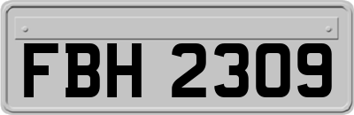 FBH2309