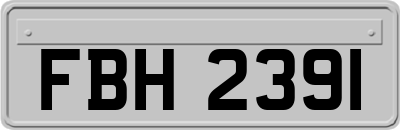FBH2391