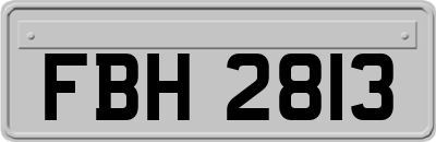 FBH2813