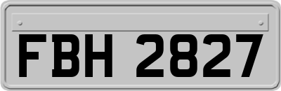 FBH2827