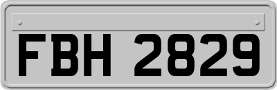 FBH2829