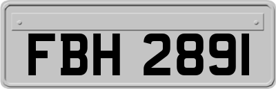 FBH2891