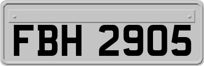 FBH2905