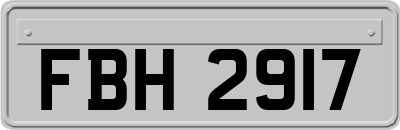 FBH2917