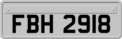 FBH2918