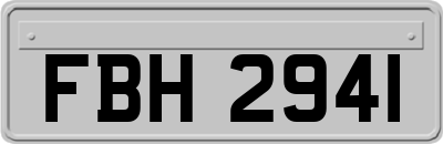 FBH2941